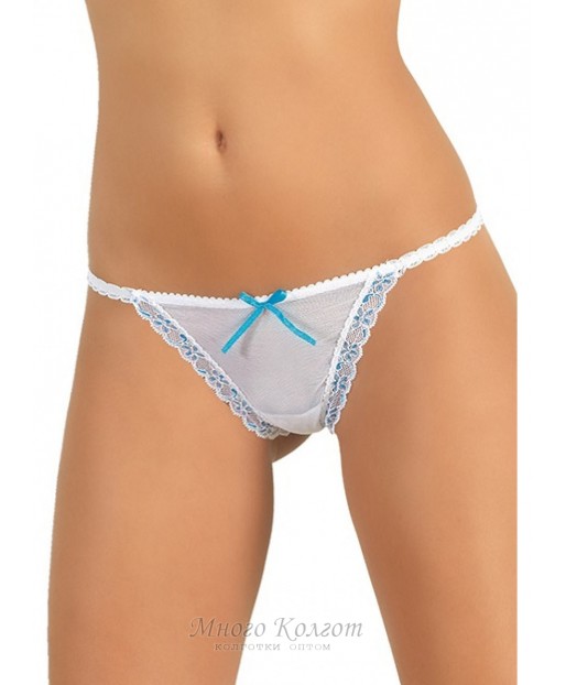 Jadea intimo 1482